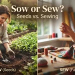 Sow or Sew